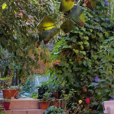 Casa Aurelia * Rome