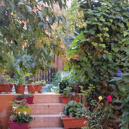Apartment Casa Aurelia *